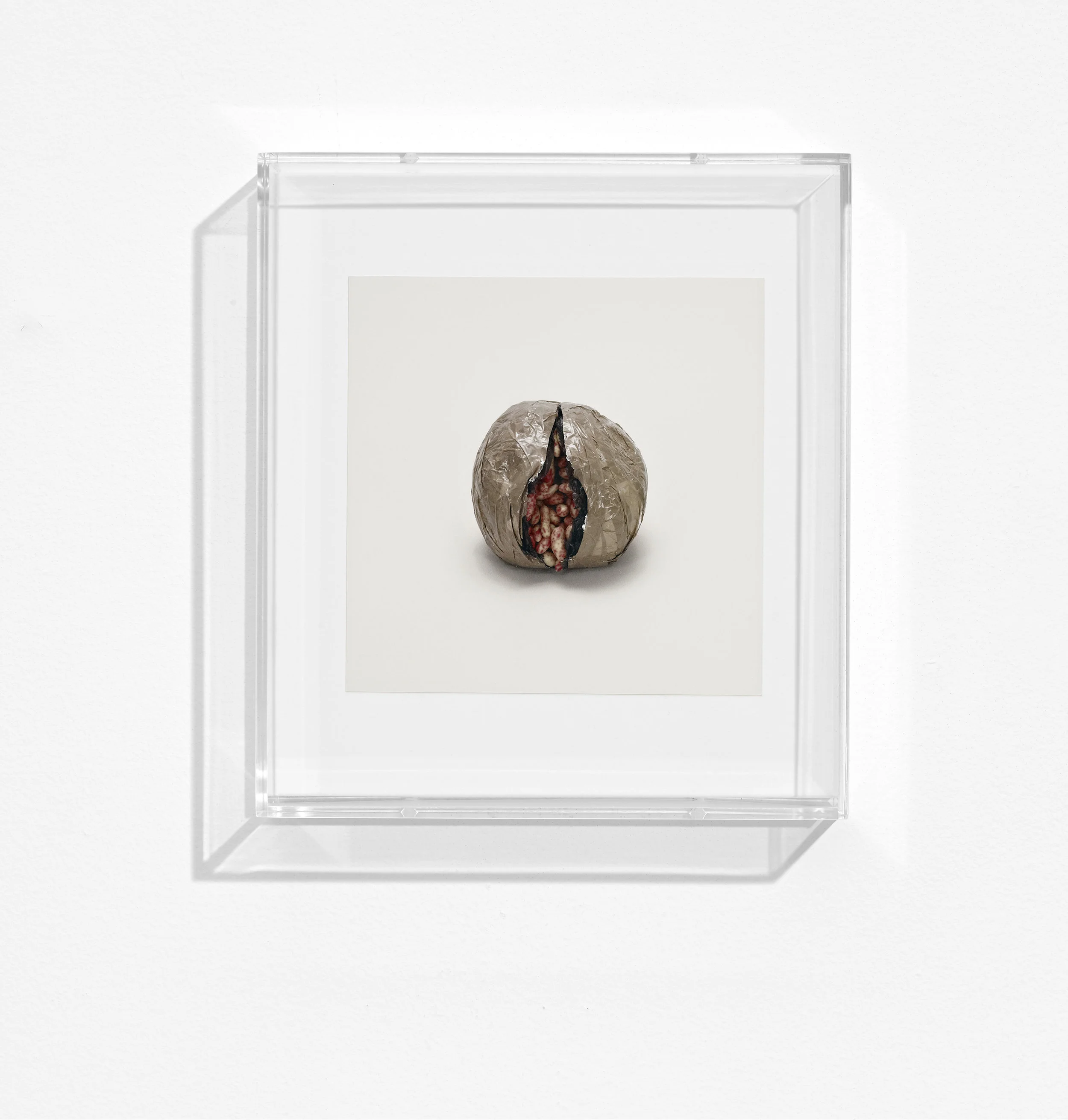 Taryn Simon | Object Association